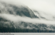 GREAT BEAR RAINFOREST - COASTAL BRITISH COLUMBIA